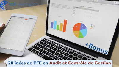 PFE Audit et Controle de Gestion