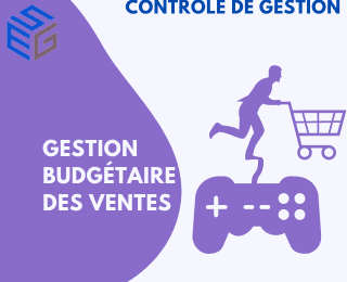 Budget des ventes